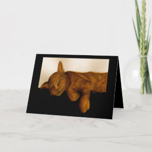 Humourous Cat Nap Birthday card