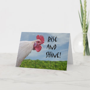 Humourous Chicken Rise and Shine Happy Birthday Card