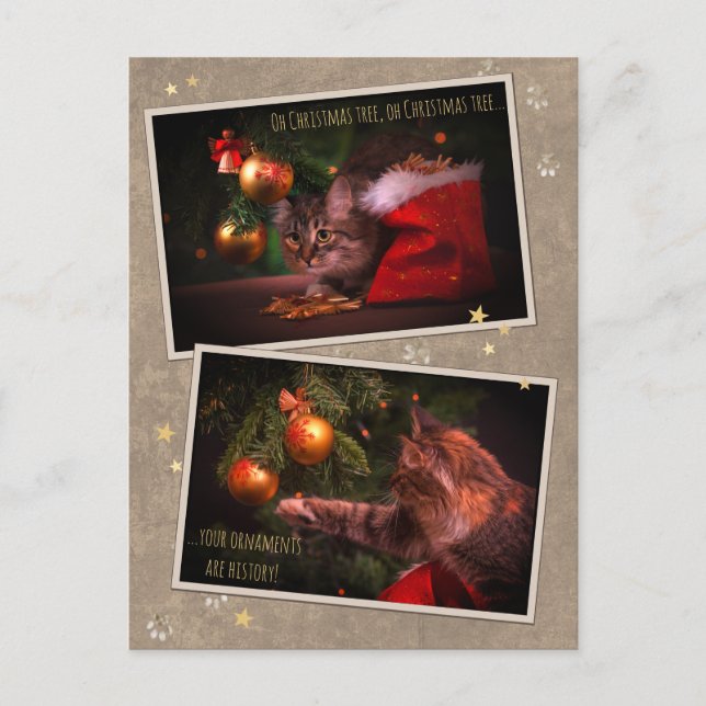 Humourous Christmas Cat Postcard (Front)