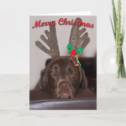Humourous Christmas Labrador With Glitter Antlers Holiday Card