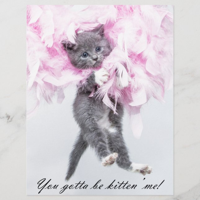 Humourous Cute Funny Cat (Front)