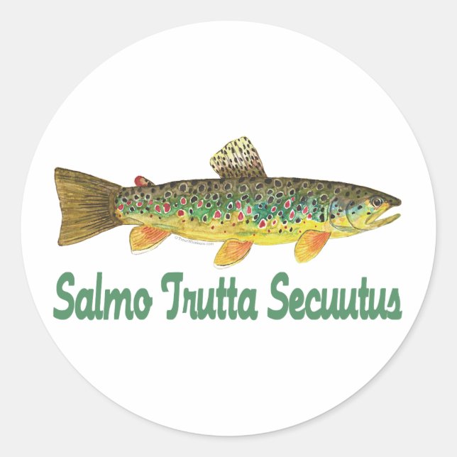 Humourous Fish, Fishing, Fly Fishing Classic Round Sticker (Front)