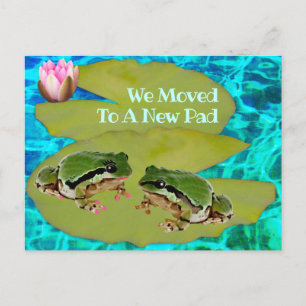 Humourous Frogs Lilies Pad We Moved Announcement Postcard