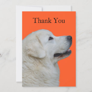 Humourous, Fun Thank You Card with Polish Tatra Do