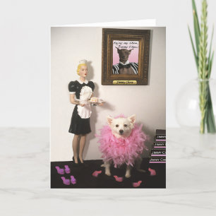 Humourous Greeting Cards