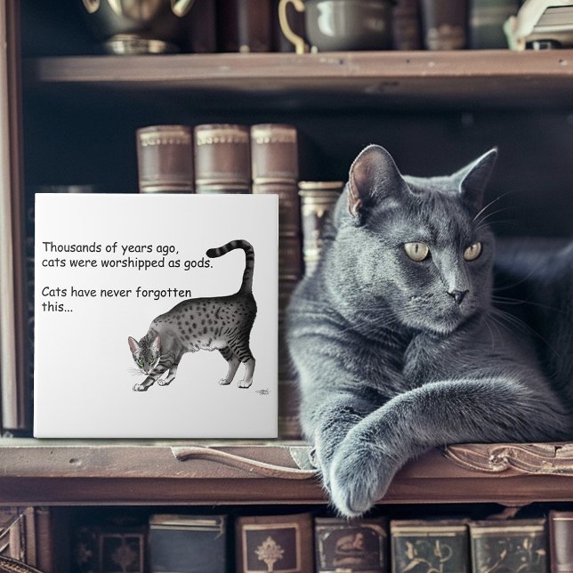 Humourous Grey Whimsical Cat Egyptian Mau Tile (Creator Uploaded)