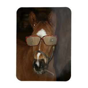 Humourous Horse Foal Smoking Cigar Flexible Magnet