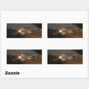 Humourous Horse Foal Smoking Cigar Stickers