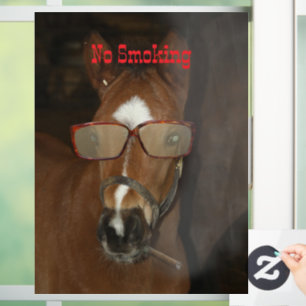 Humourous Horse Foal Smoking Cigar Window Cling