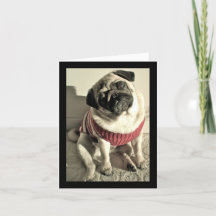 Humourous Mother's Day Pug