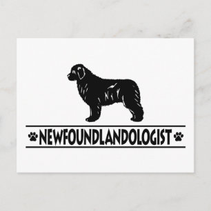 Humourous Newfoundland Postcard