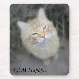 Humourous Orange Cat Mousepad