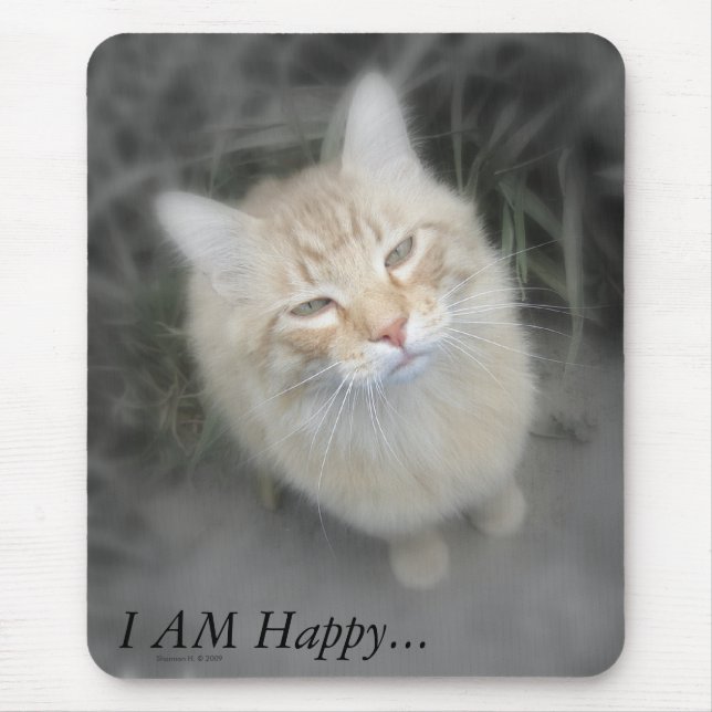 Humourous Orange Cat Mousepad (Front)