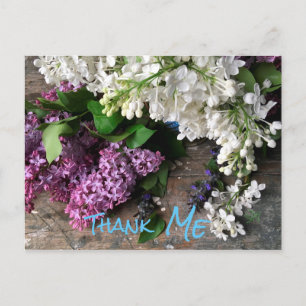 Humourous postcard: Lilac Thank “ME” notes Postcard