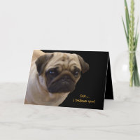 Humourous Pug Birthday Card