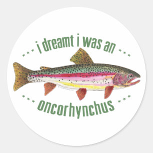 Humourous Rainbow Trout Design Classic Round Sticker