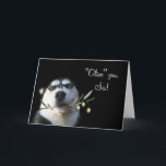 Humourous Sister Happy Birthday Card<br><div class="desc">A fun way to say "olive" you to your sister on her birthday.  A cute husky holding an olive branch and the pun of olive vs. I love.  Sure to bring a smile to your sister on her birthday.</div>
