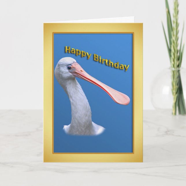 Humourous Spoonbill Birthday Card (Front)