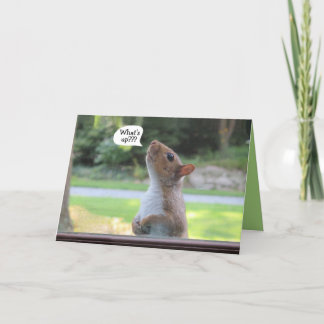 Humourous squirrel birthday occasion greeting card