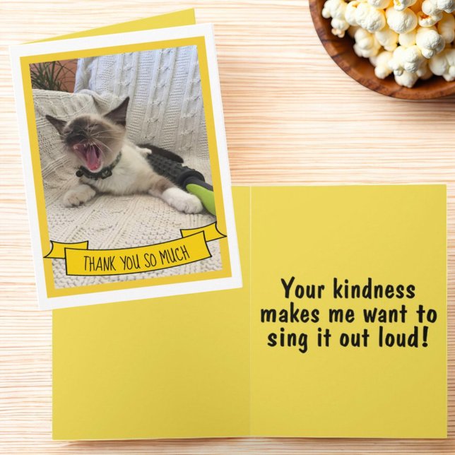 Humourous Thank You So Much Siamese Kitten Photo (Folded greeting card thank you template cover & inside)