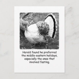 Humourous Turkey Thanksgiving Post Card
