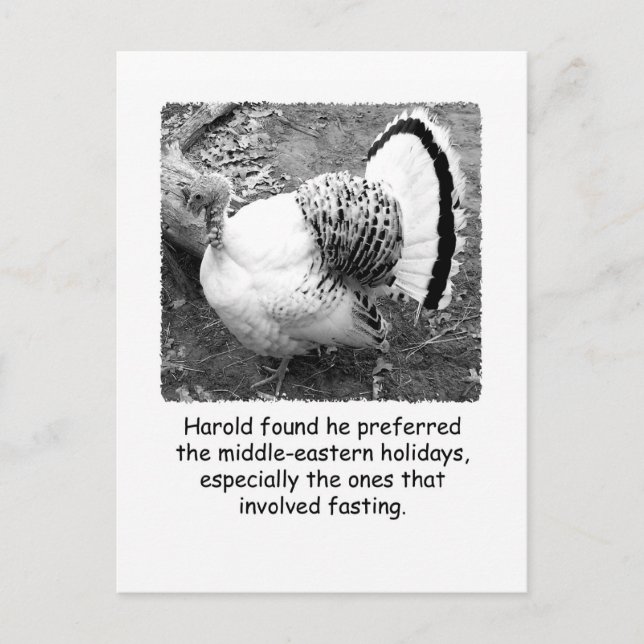 Humourous Turkey Thanksgiving Post Card (Front)