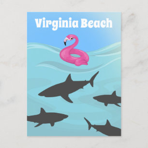 Humourous Virginia Beach Shark Postcard