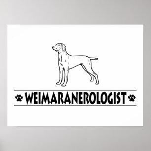 Humourous Weimaraner Poster