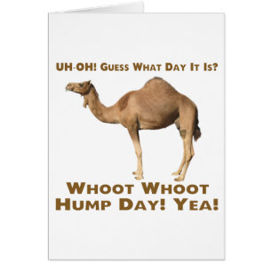 Hump Day