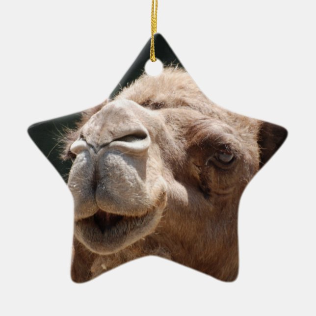 Hump Day Camel Ceramic Tree Decoration (Front)