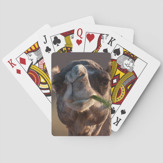 Hump Day Camel Feasting on Green Grass Playing Cards (Back)
