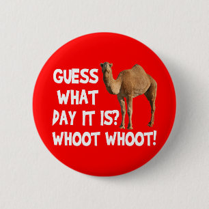 Hump Day Camel Guess What Day It Is 6 Cm Round Badge