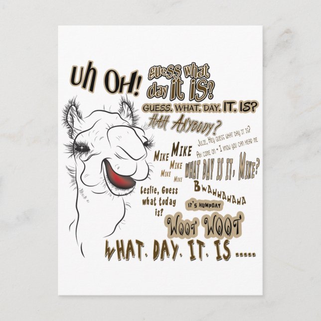 Hump Day Camel Postcard (Front)