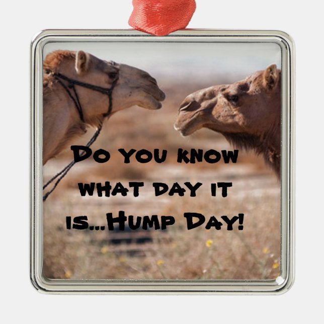 Hump Day Camels Metal Tree Decoration (Front)