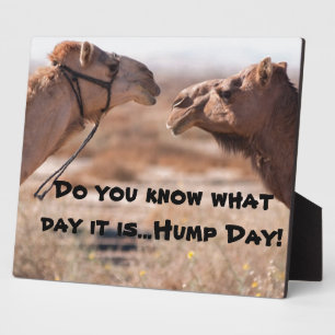 Hump Day Camels Plaque