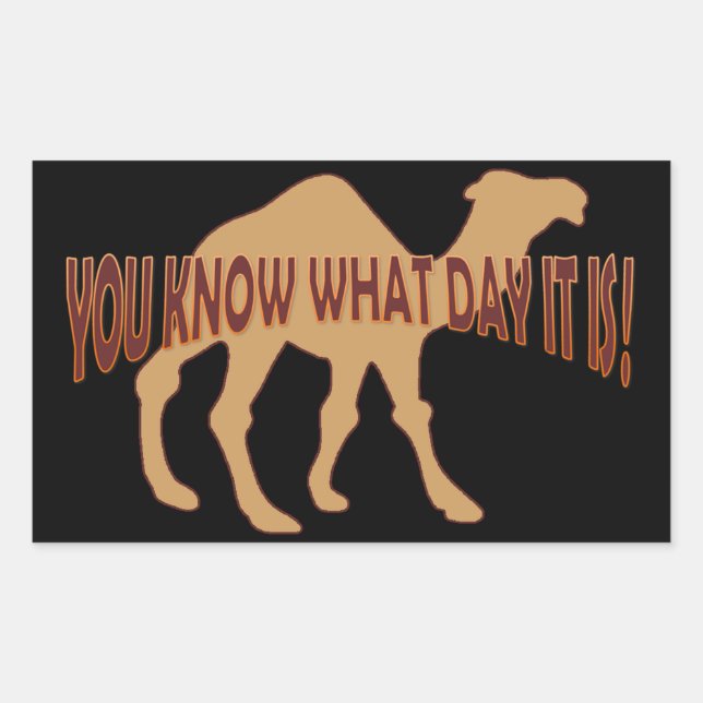 HUMP DAY HUMP DAY CAMEL RECTANGULAR STICKER (Front)