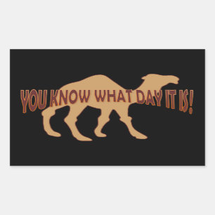 HUMP DAY HUMP DAY CAMEL RECTANGULAR STICKER