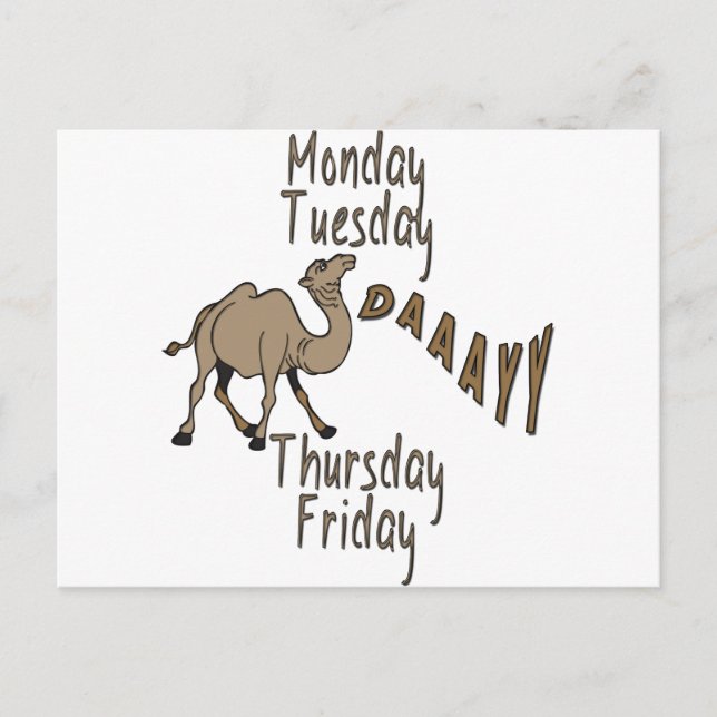 Hump Day Week Days Postcard (Front)