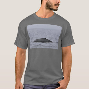 Humpback comes out of the Water T-Shirt