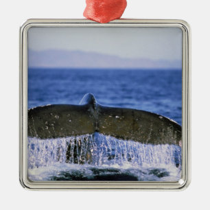 Humpback tail. metal tree decoration