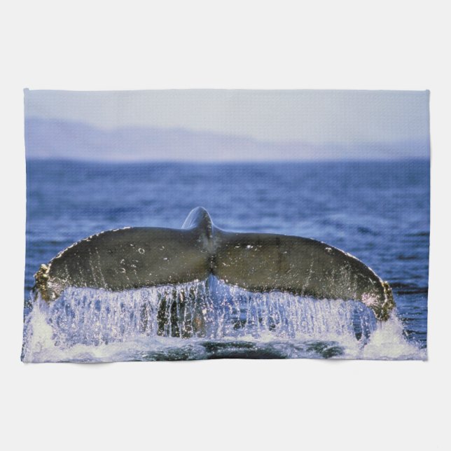 Humpback tail. tea towel (Horizontal)