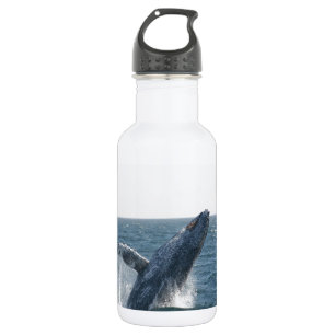 Humpback Whale 532 Ml Water Bottle