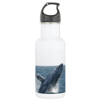 Humpback Whale 532 Ml Water Bottle