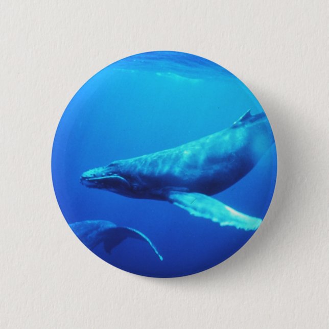 Humpback Whale 6 Cm Round Badge (Front)