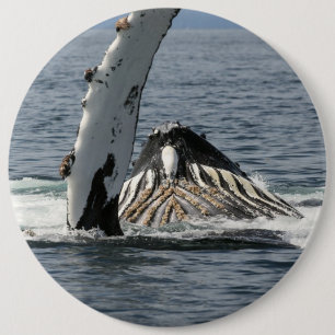 Humpback Whale 6 Cm Round Badge