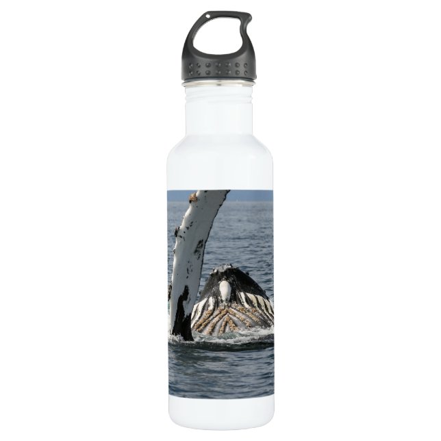 Humpback Whale 710 Ml Water Bottle (Front)