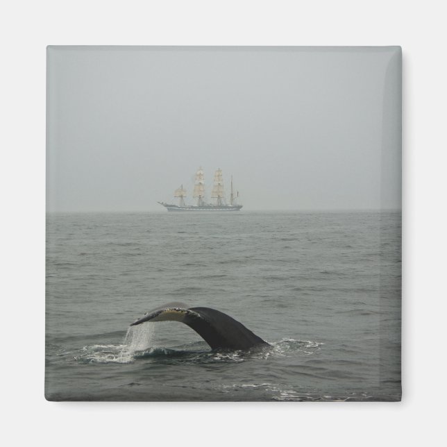Humpback Whale and Tall Ship 2 Magnet (Front)