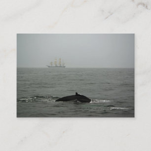 Humpback Whale and Tall Ship Mini Print Business Card