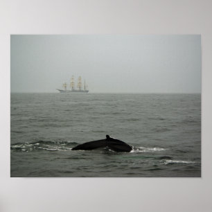 Humpback Whale and Tall Ship Print