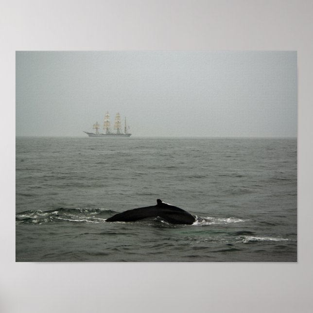 Humpback Whale and Tall Ship Print (Front)